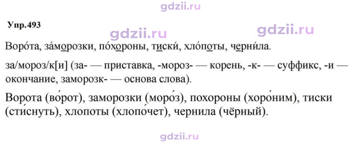 Скан решения номера 493