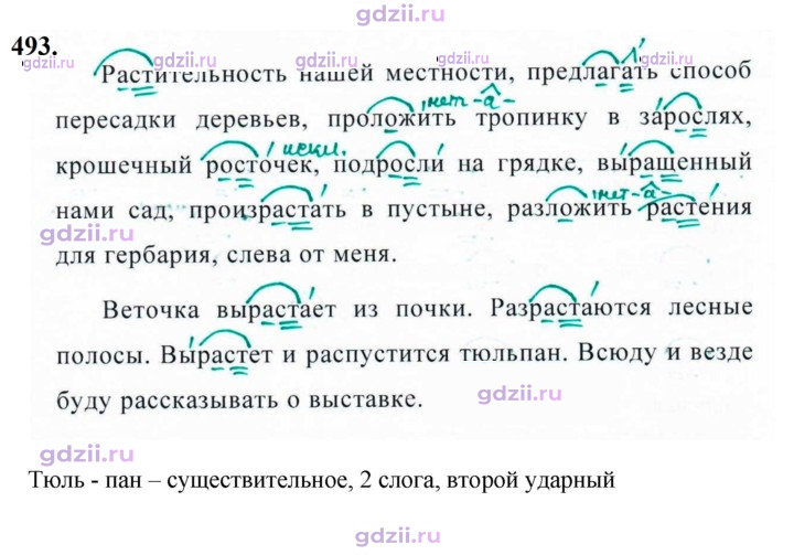 Скан решения номера 493