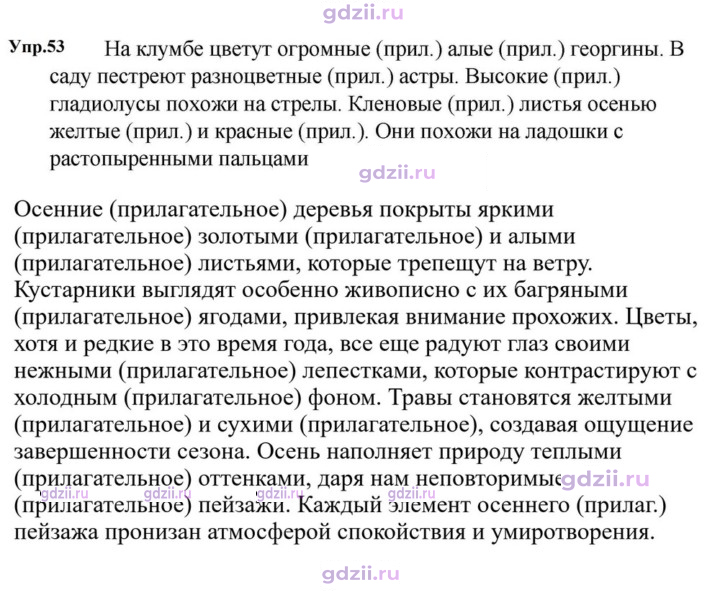 Скан решения номера 53