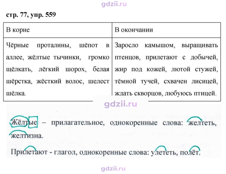 Скан решения номера 559