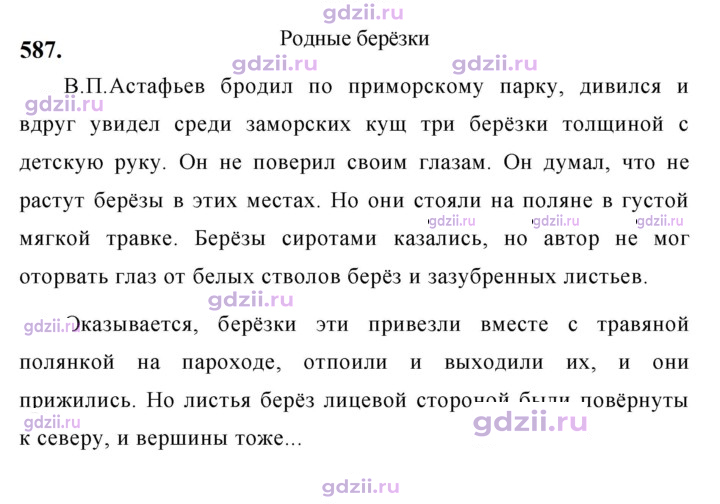 Скан решения номера 587