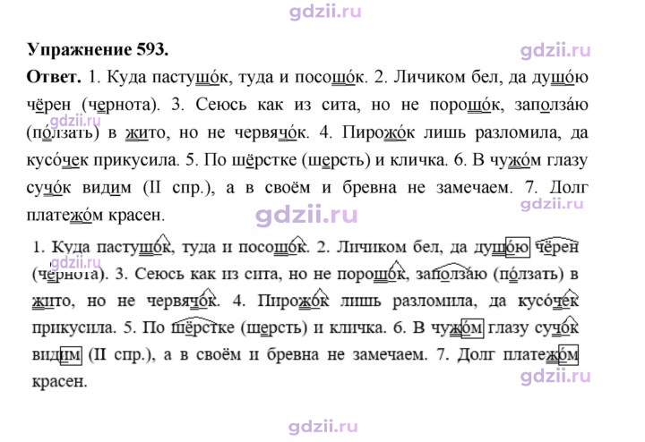 Скан решения номера 593