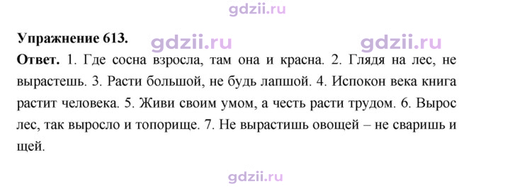 Скан решения номера 613