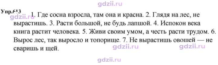 Скан решения номера 613