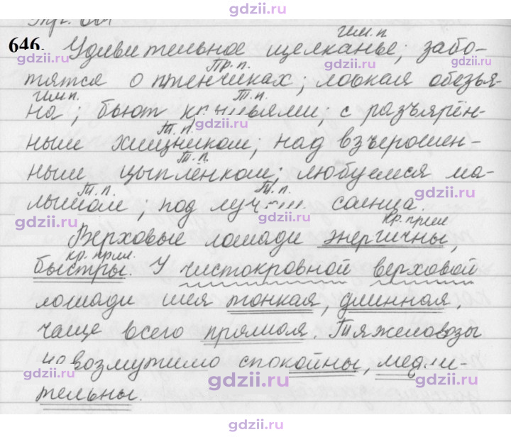 Скан решения номера 646