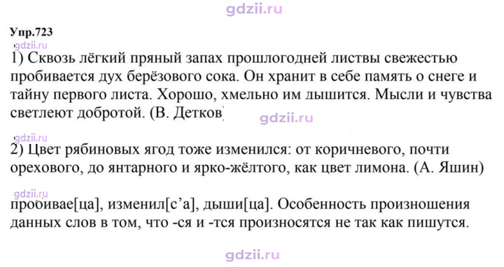 Скан решения номера 723