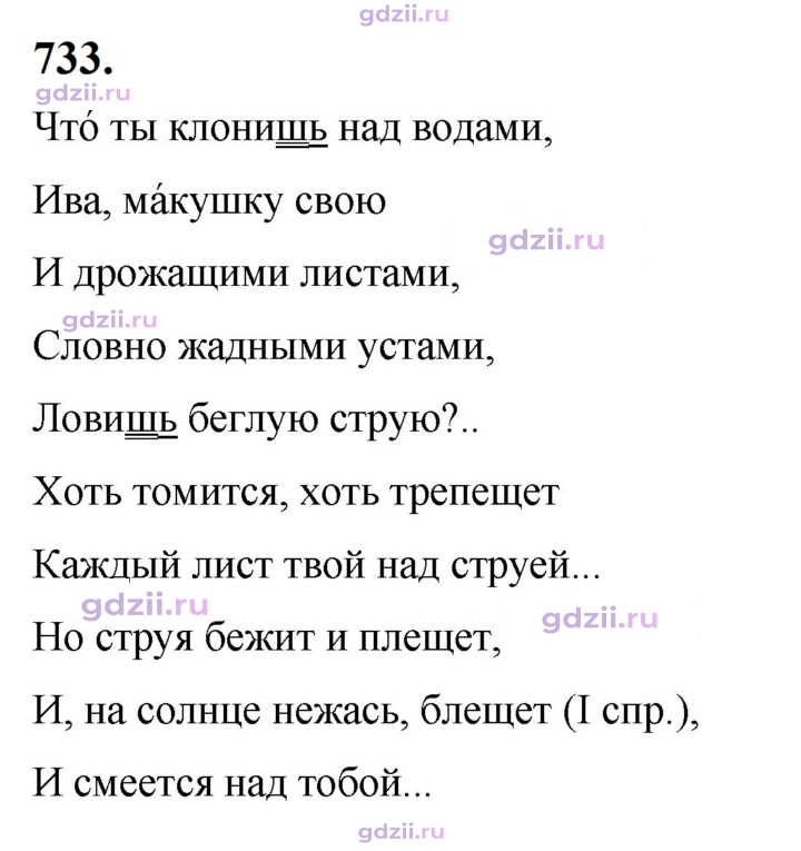 Скан решения номера 733