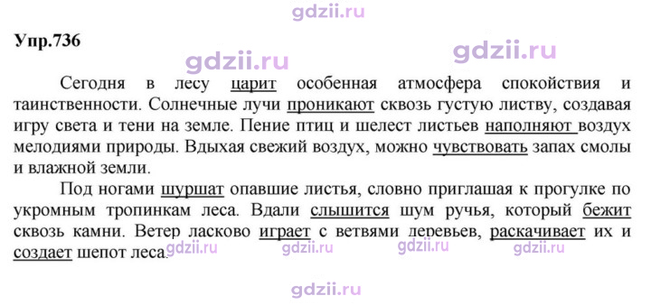 Скан решения номера 736