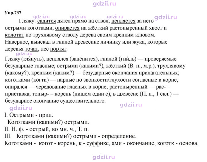 Скан решения номера 737