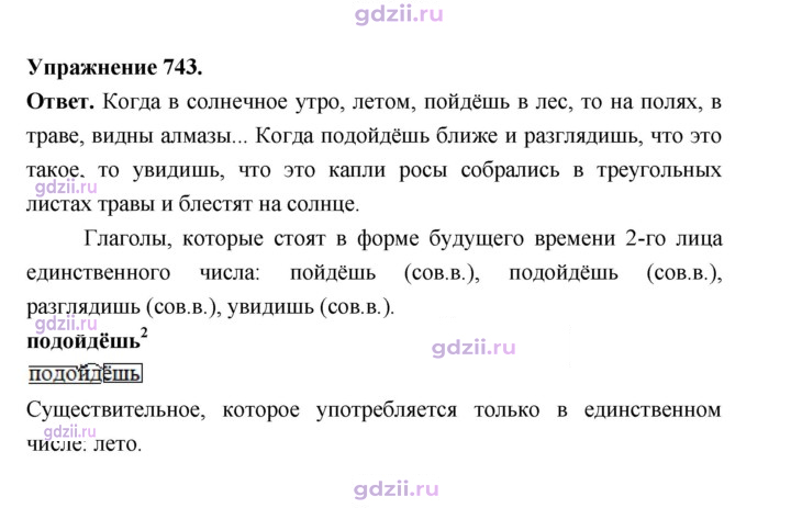 Скан решения номера 743