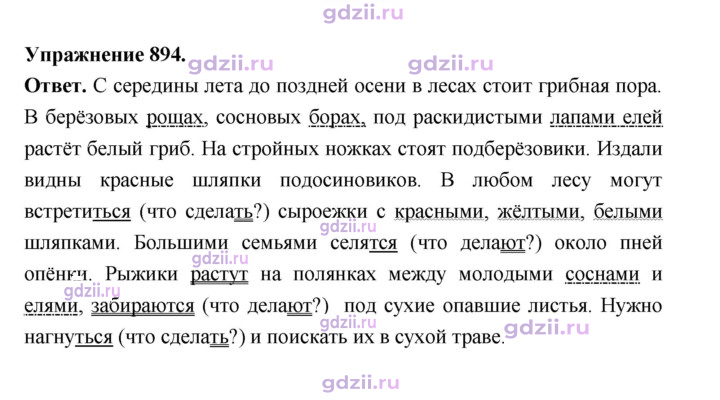 Скан решения номера 894