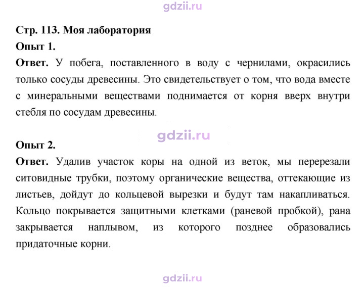Скан решения номера 113