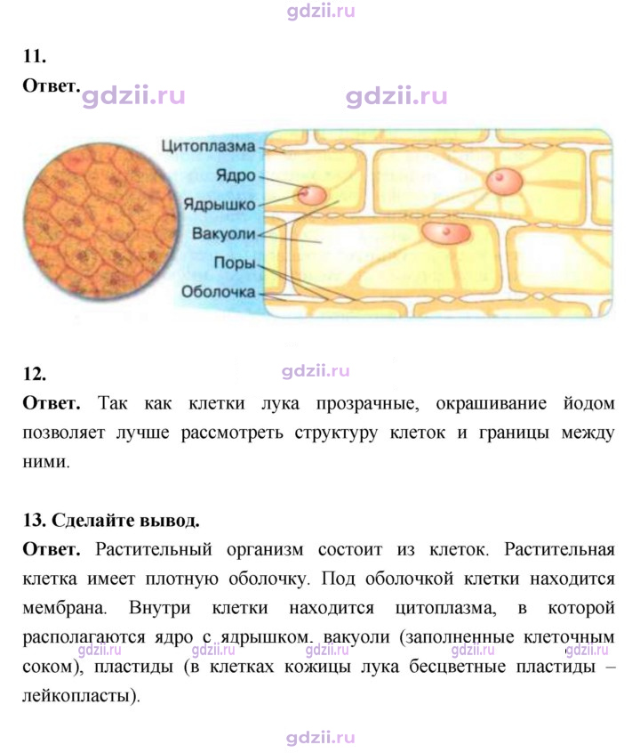 Скан решения номера 17