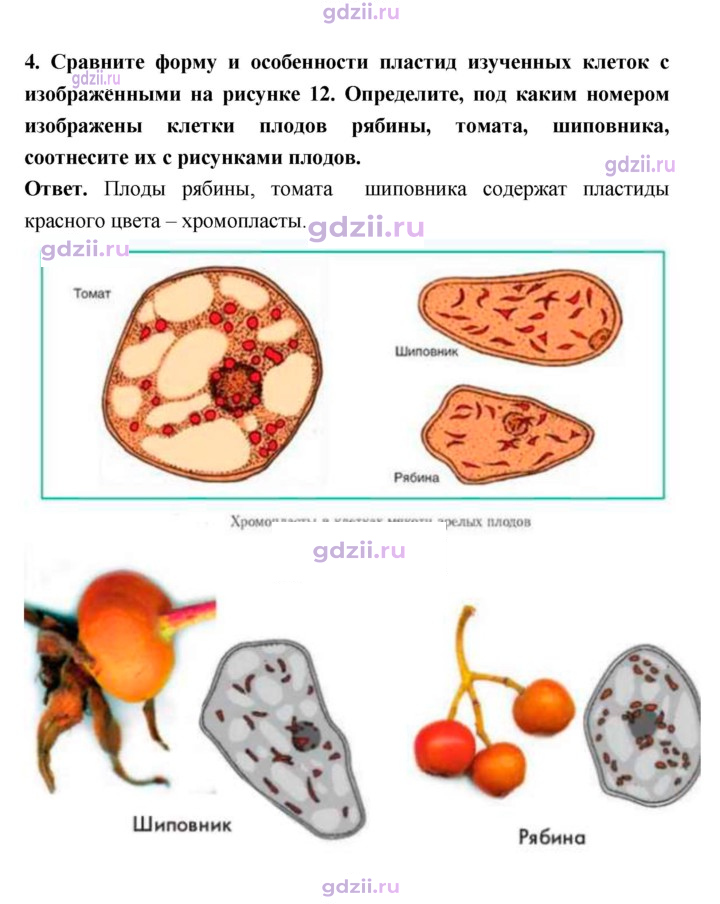 Скан решения номера 18