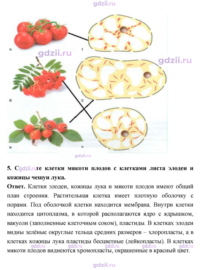 Скан решения номера 18