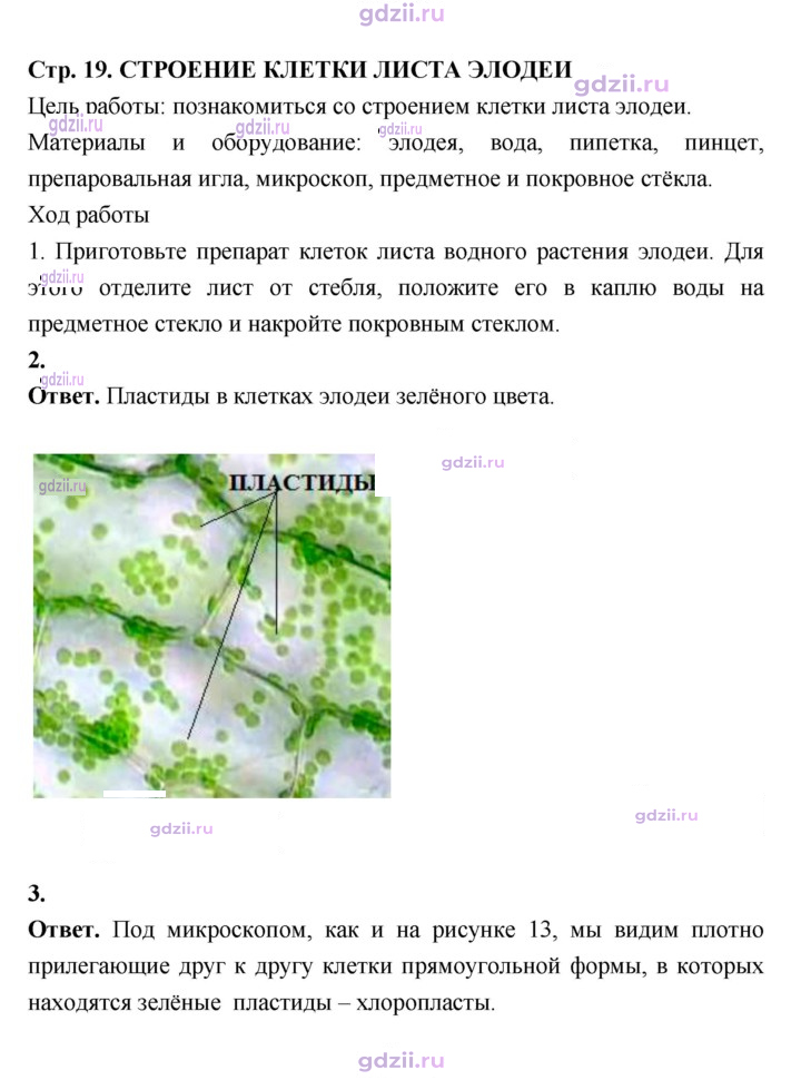 Скан решения номера 19