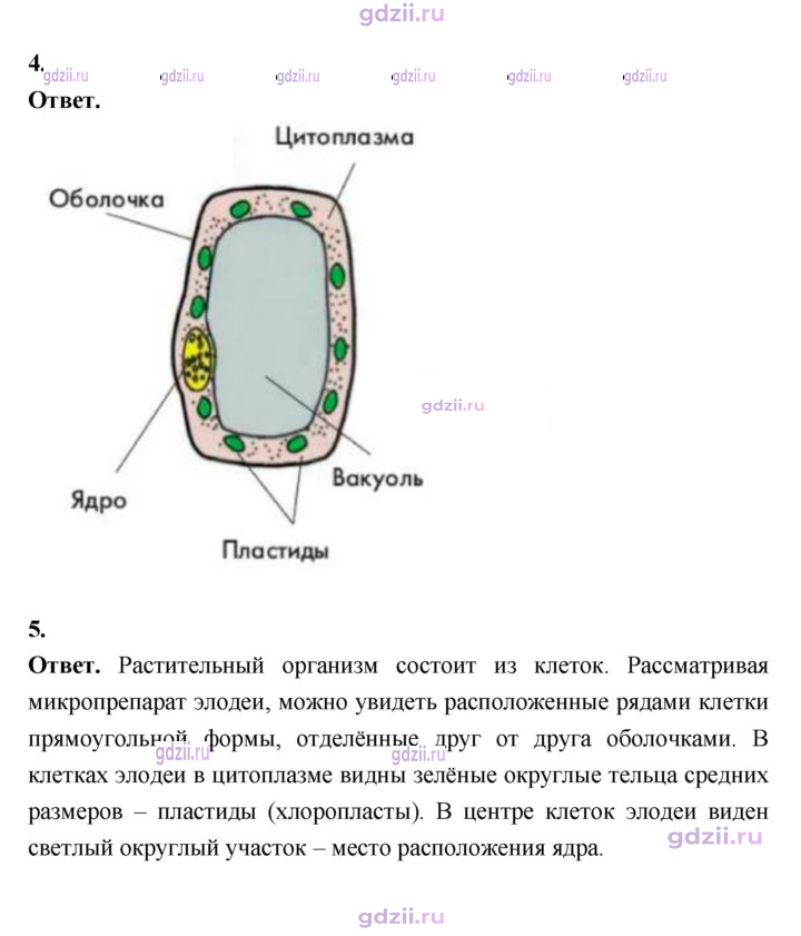 Скан решения номера 19