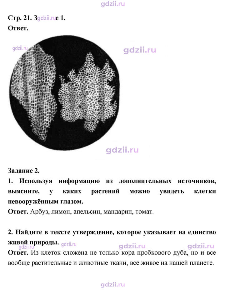 Скан решения номера 21