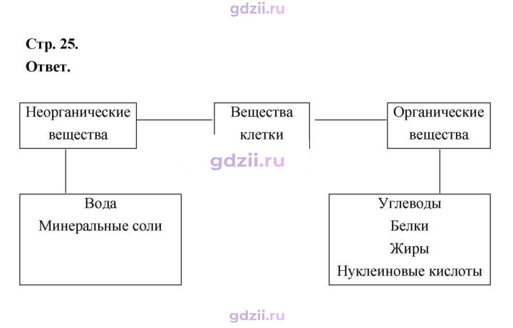 Скан решения номера 25