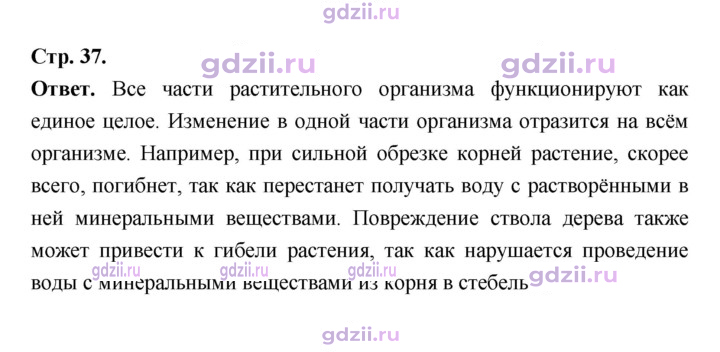 Скан решения номера 37
