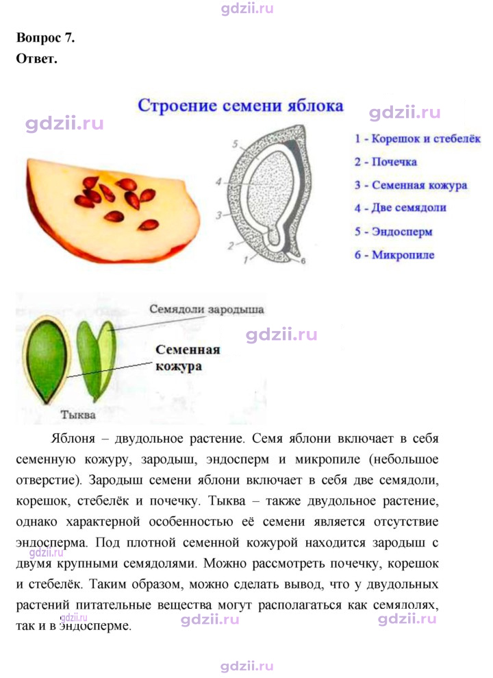 Скан решения номера 41