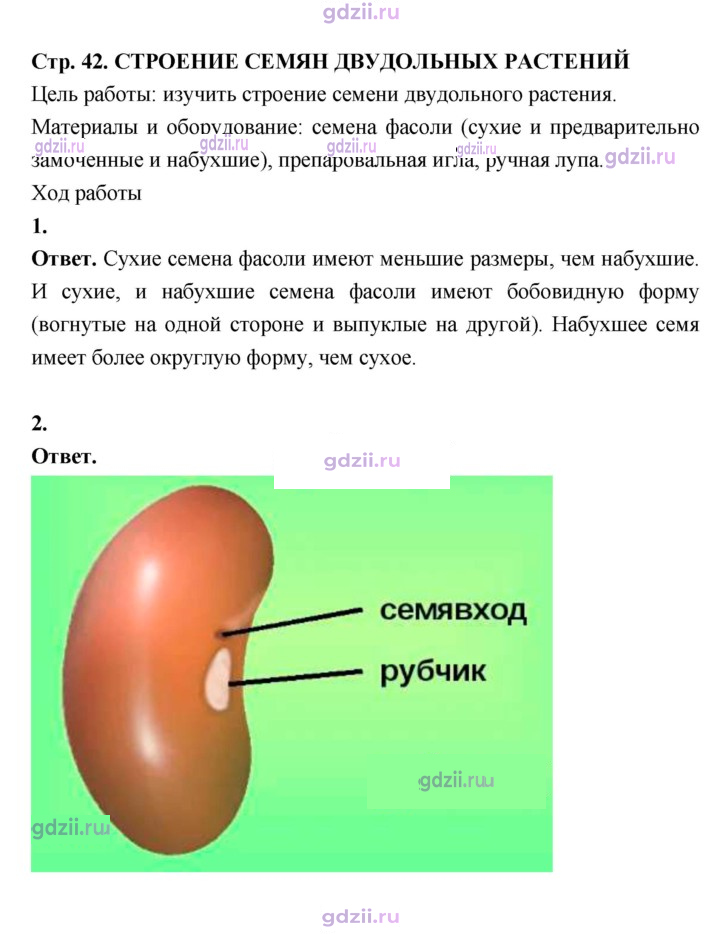 Скан решения номера 42