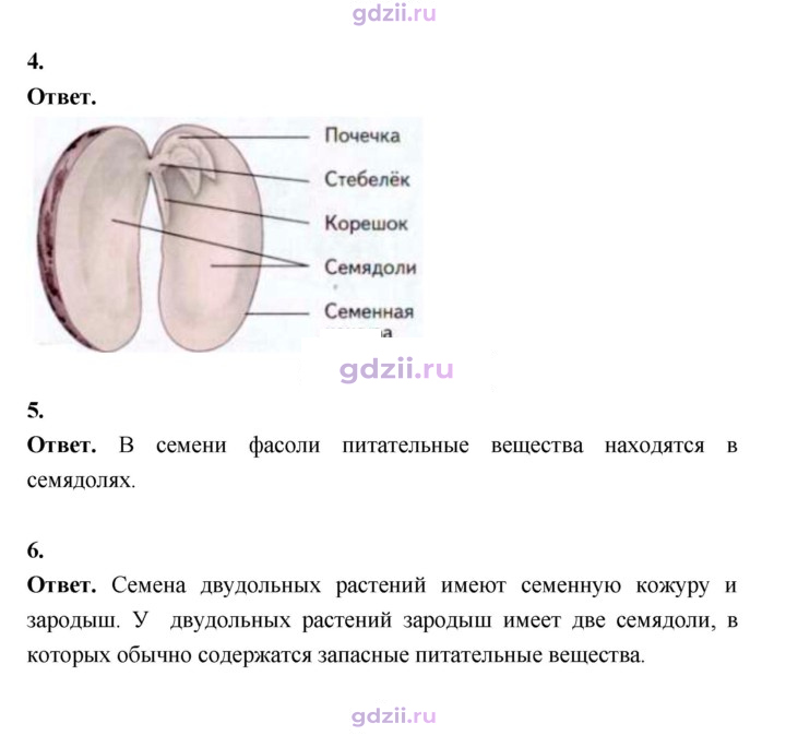 Скан решения номера 42