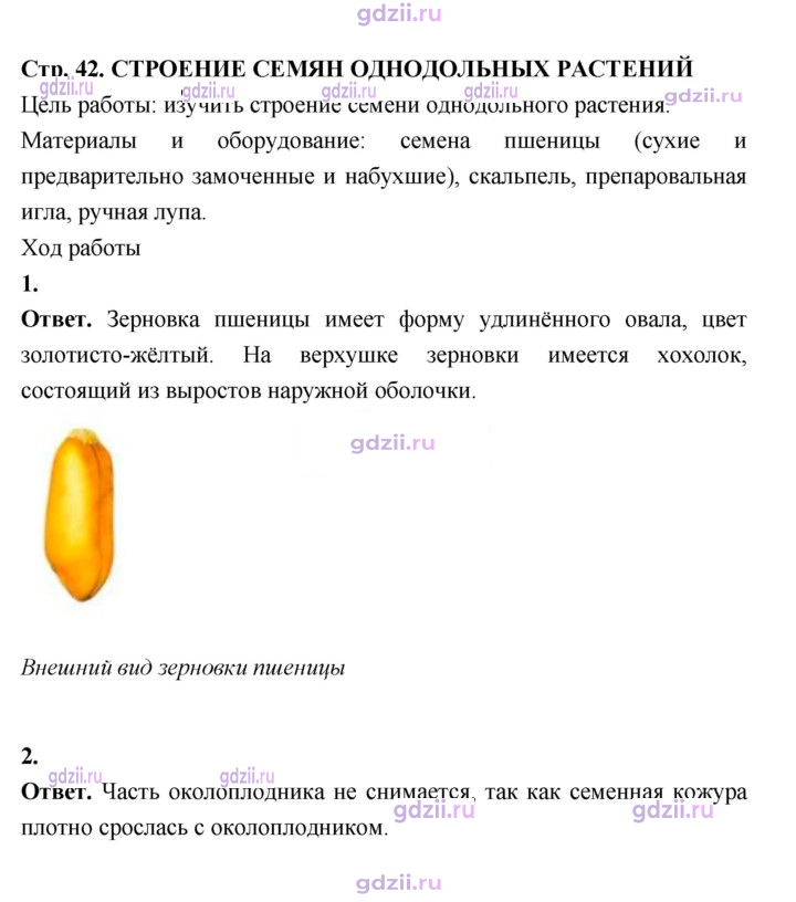 Скан решения номера 42