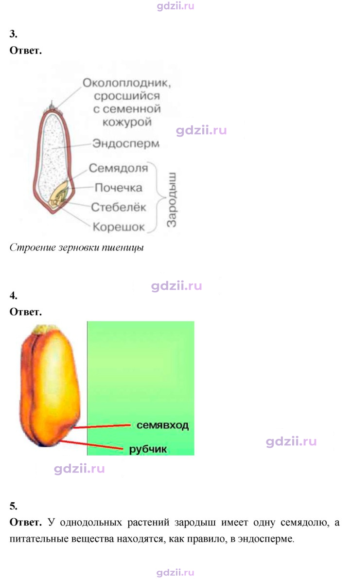 Скан решения номера 42