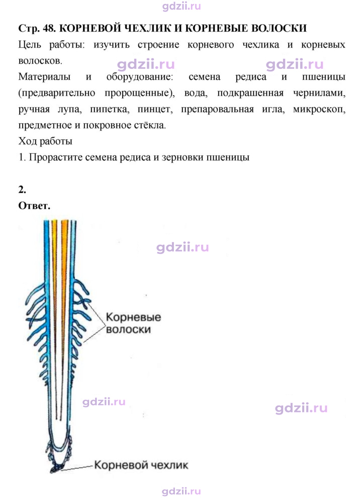 Скан решения номера 48