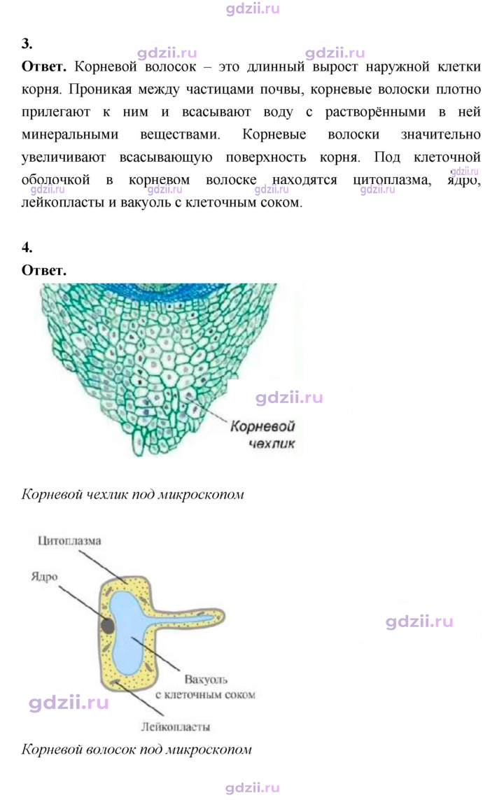 Скан решения номера 48