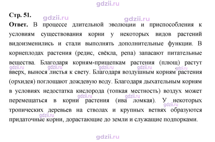 Скан решения номера 51