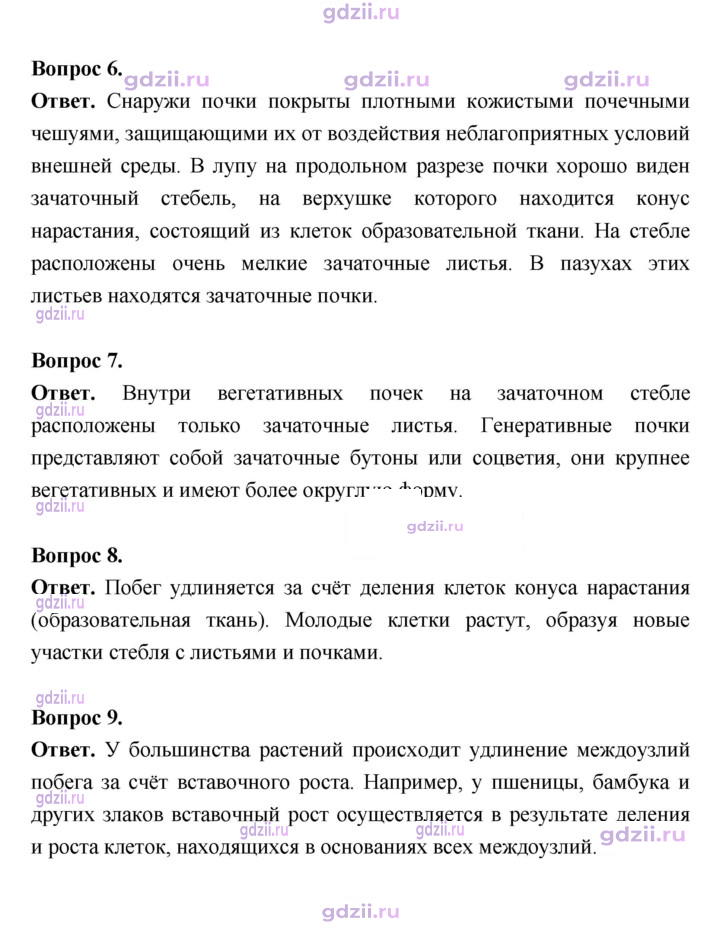 Скан решения номера 54