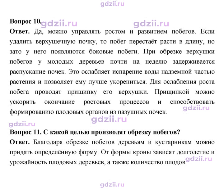 Скан решения номера 54