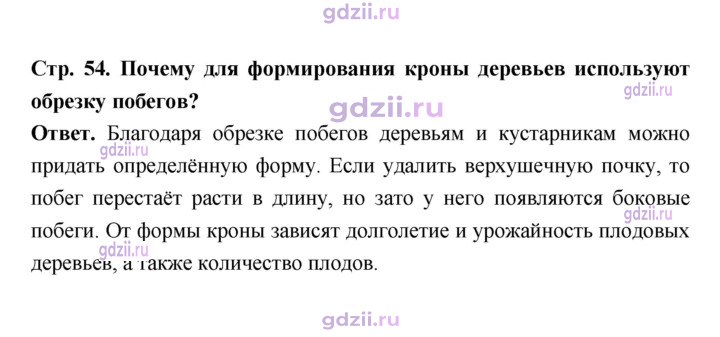 Скан решения номера 54