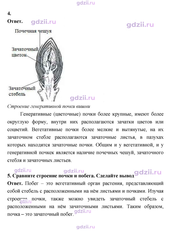 Скан решения номера 55
