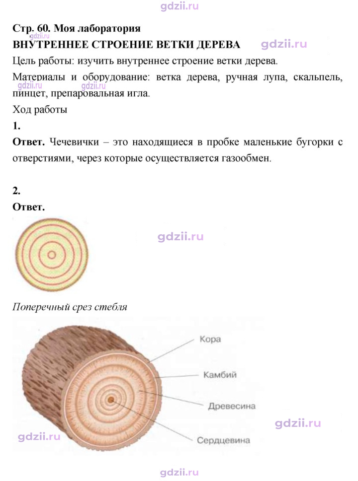 Скан решения номера 60