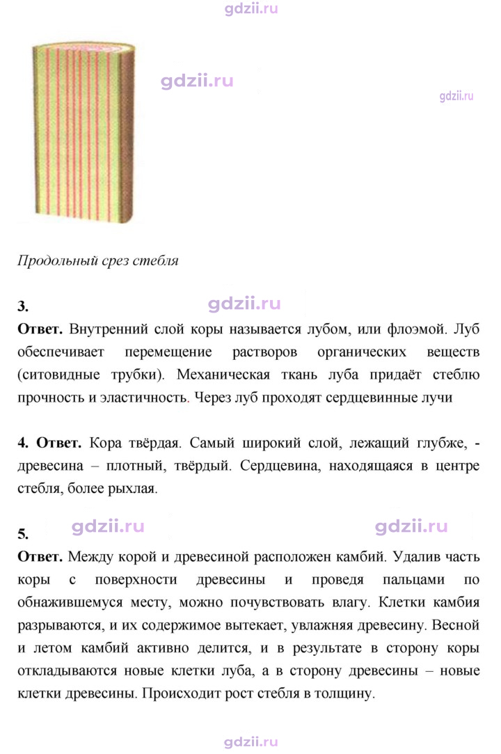 Скан решения номера 60