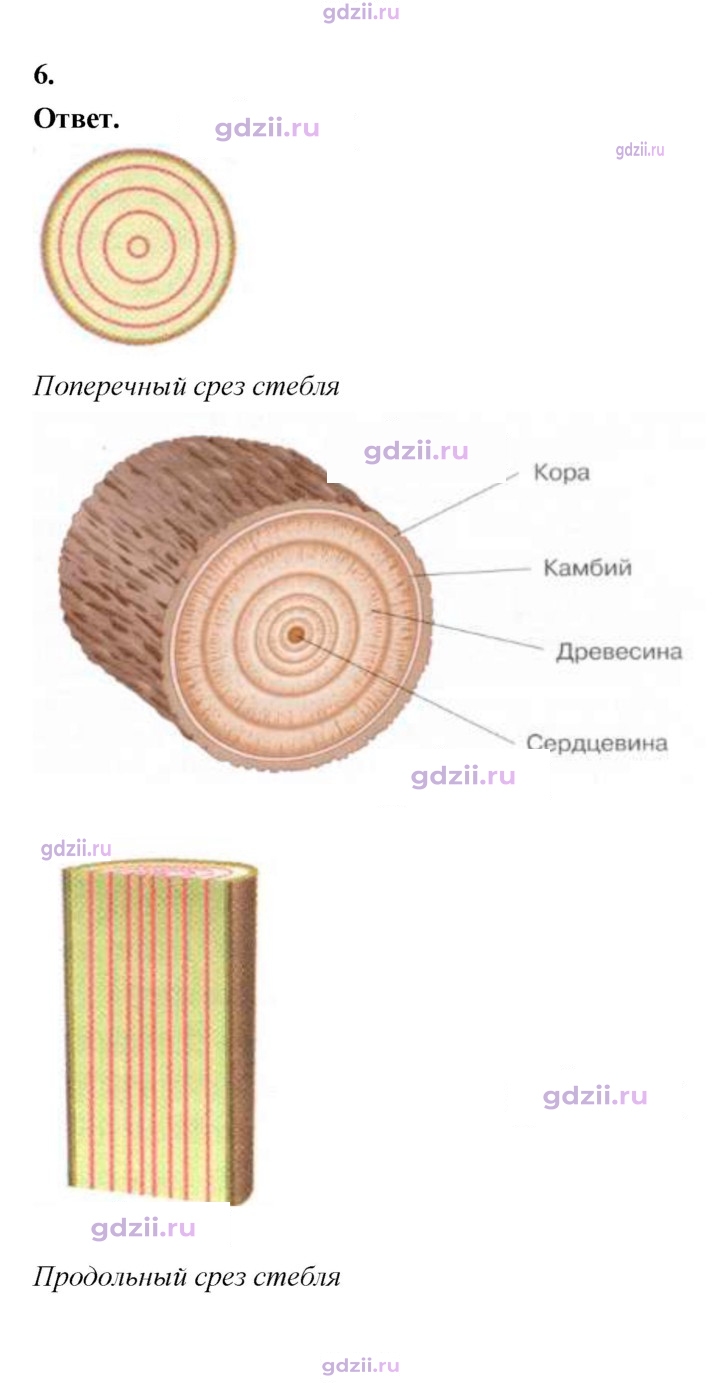 Скан решения номера 60
