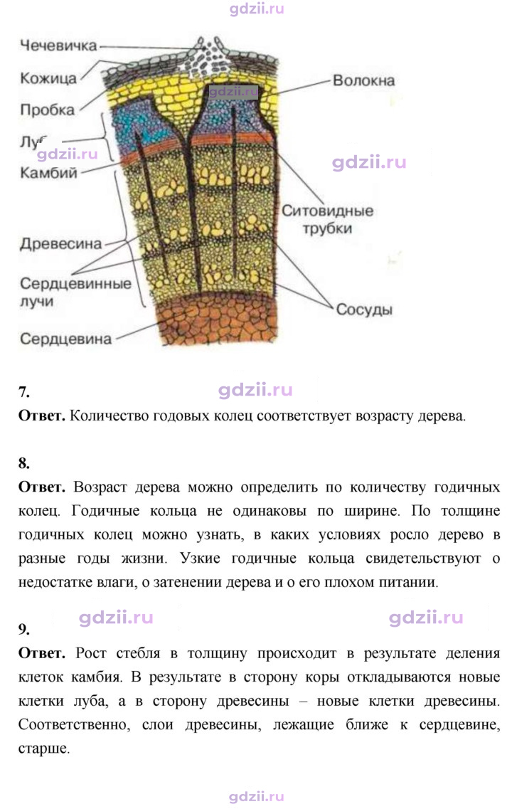 Скан решения номера 60