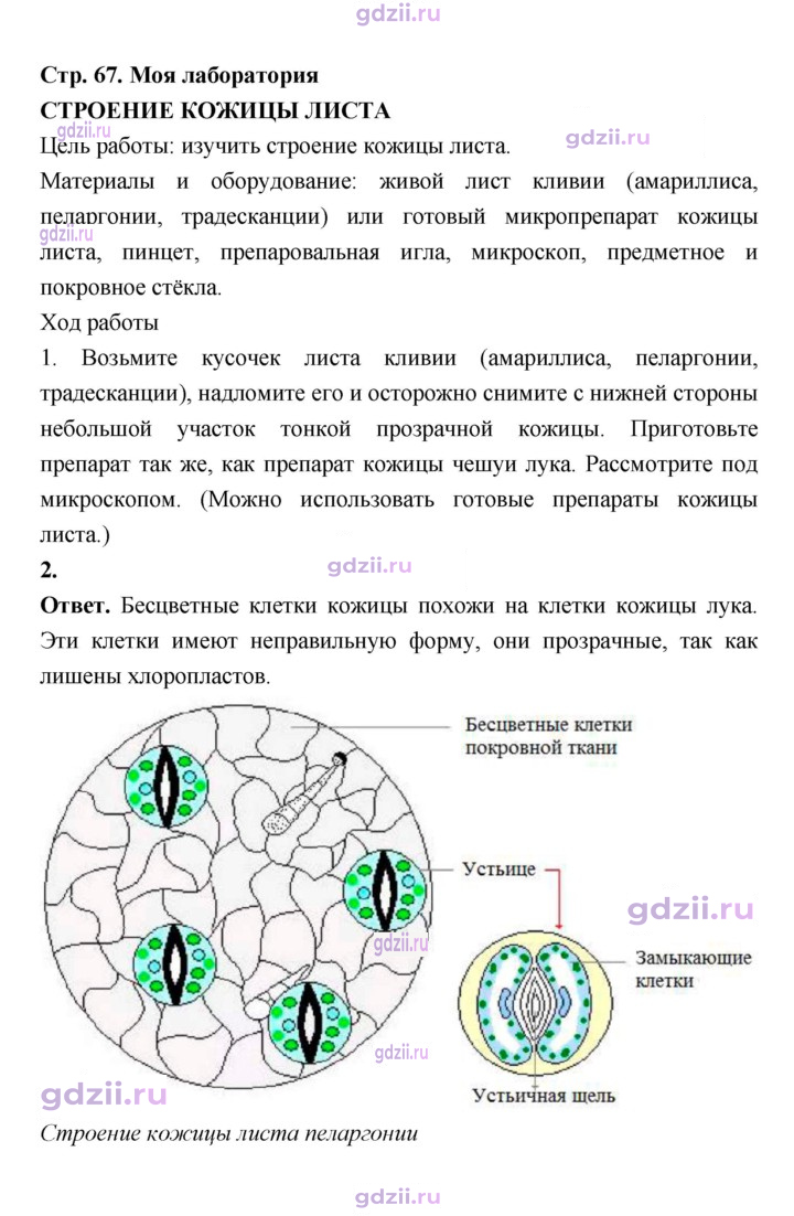 Скан решения номера 67