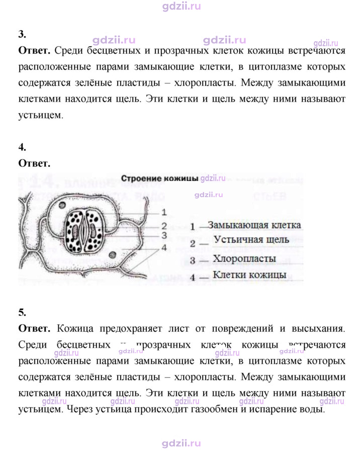 Скан решения номера 67