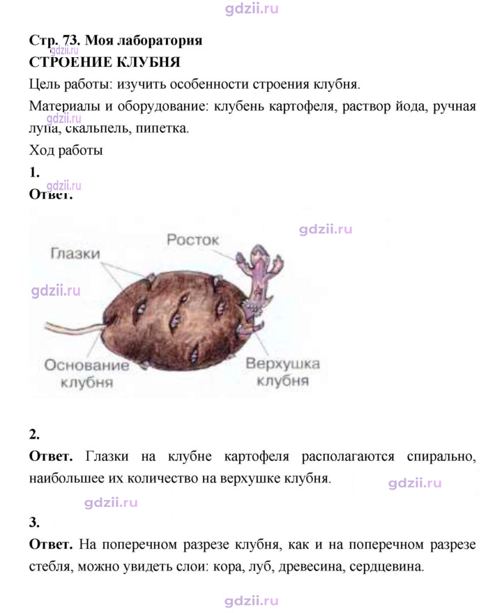 Скан решения номера 73