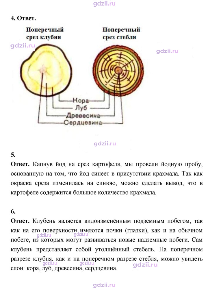 Скан решения номера 73