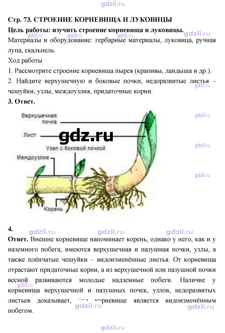 Скан решения номера 73