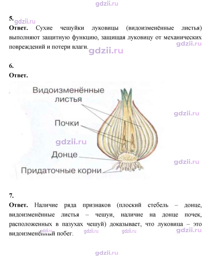 Скан решения номера 73