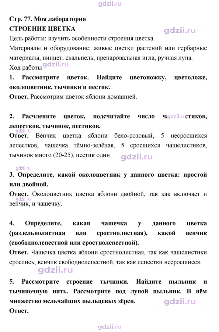 Скан решения номера 77
