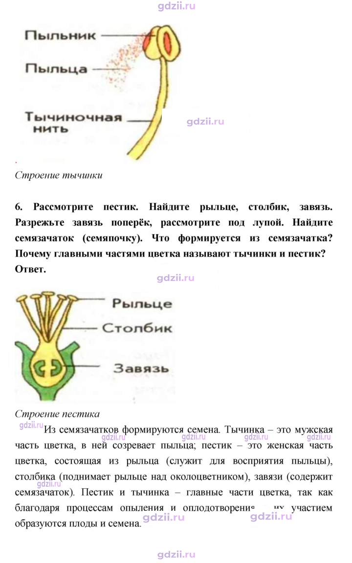 Скан решения номера 77