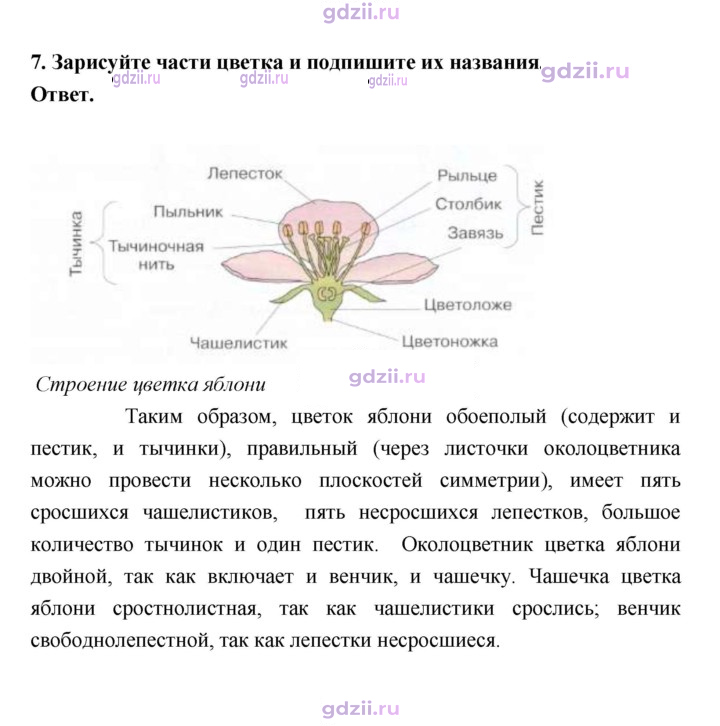 Скан решения номера 77