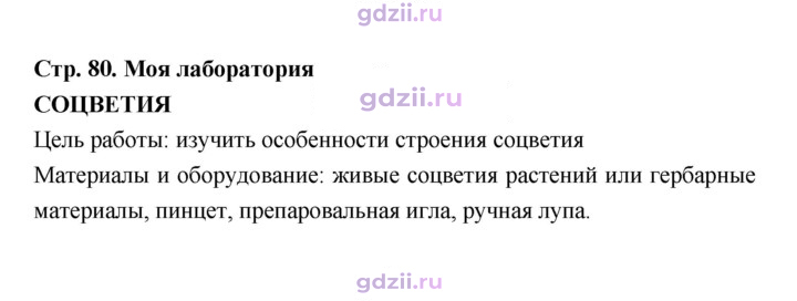 Скан решения номера 80